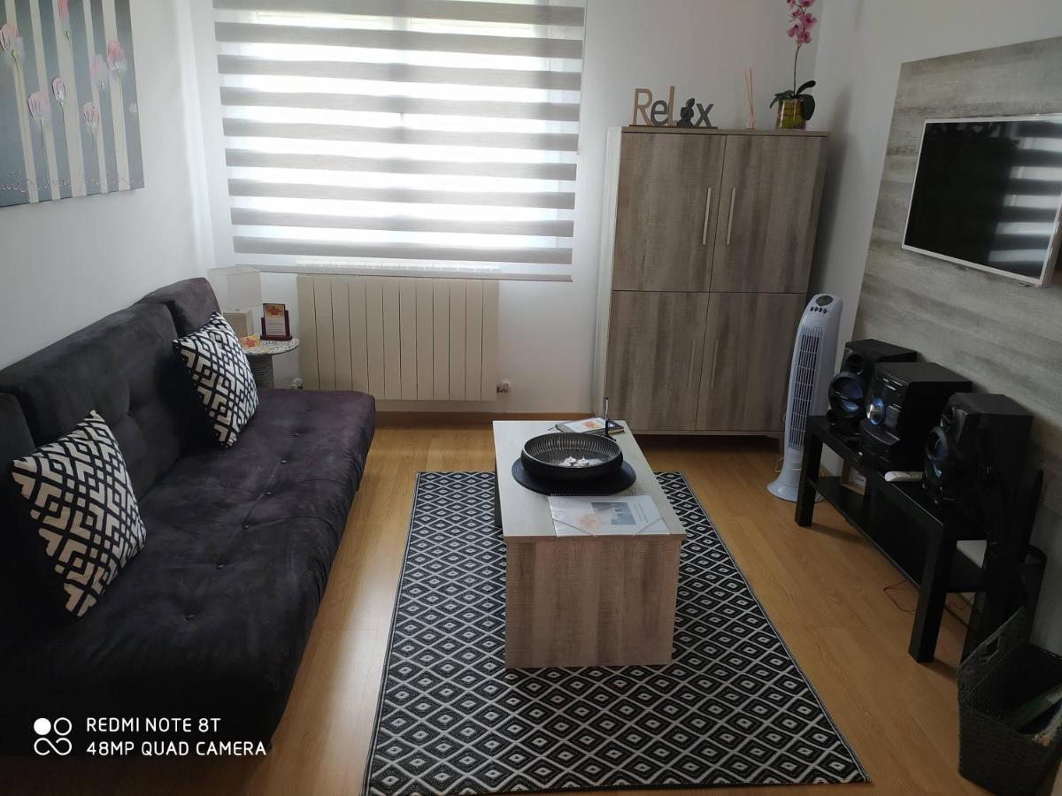 Ferienwohnung Vianatxiki Viana  Exterior foto